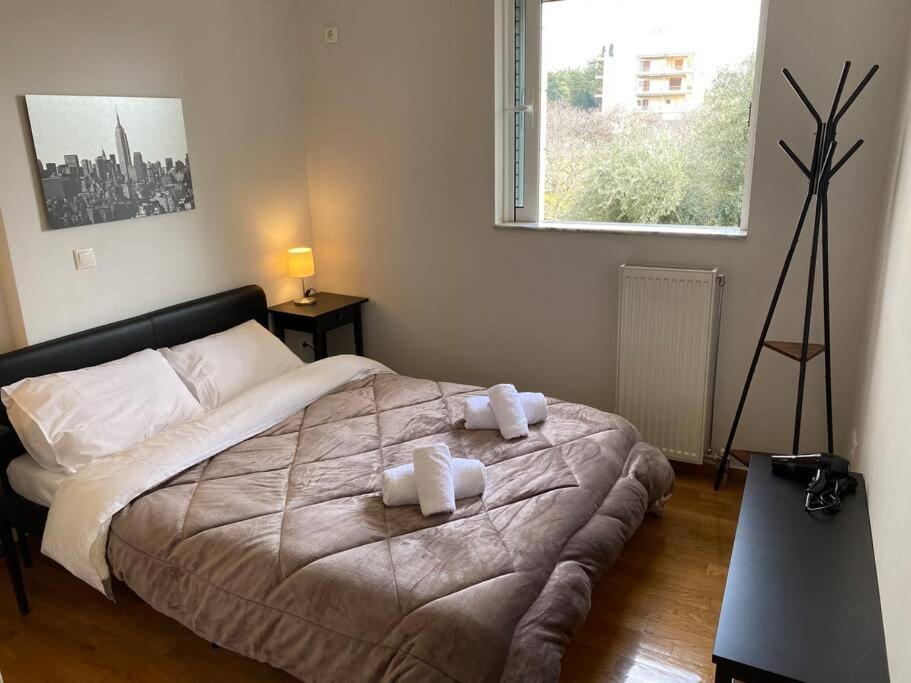 Apartment Cozy With Scenic View